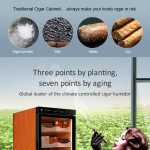 Raching C-Series C150A Humidor