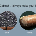 Raching C-Series C230A Humidor