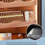 Raching C-Series C330A Humidor