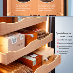 Raching C-Series C330A Humidor