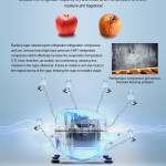 Raching C-Series C330A Humidor