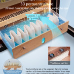 Raching C-Series C380A Humidor