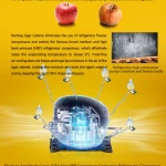 Raching C-Series COH180A Humidor