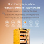 Raching MON Series MON1800A Humidor